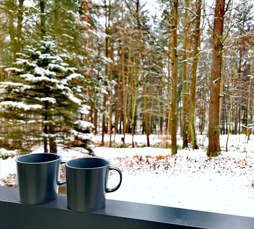 Apartament Z Widokiem Na Park Polanica-Zdrój Kültér fotó
