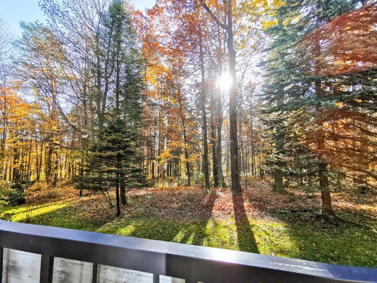 Apartament Z Widokiem Na Park Polanica-Zdrój Kültér fotó