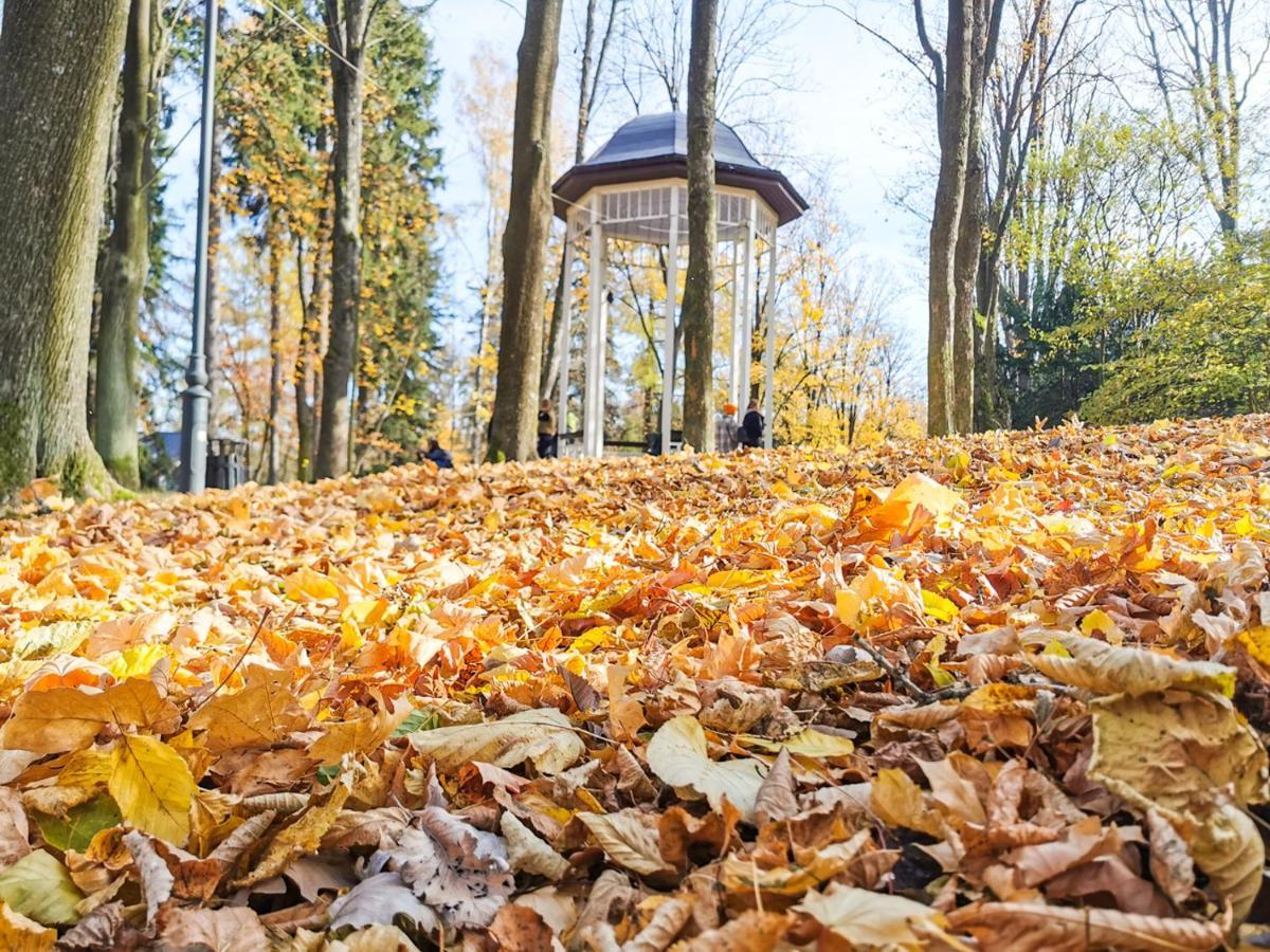 Apartament Z Widokiem Na Park Polanica-Zdrój Kültér fotó